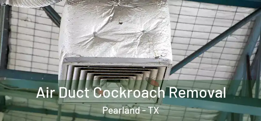 Air Duct Cockroach Removal Pearland - TX