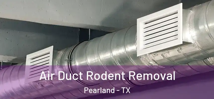  Air Duct Rodent Removal Pearland - TX