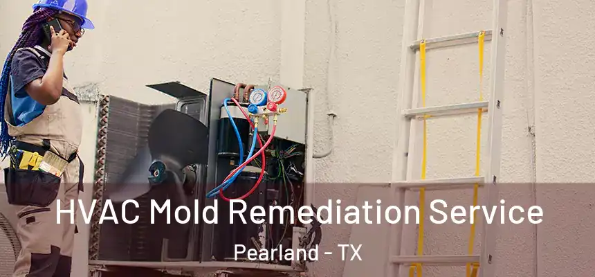 HVAC Mold Remediation Service Pearland - TX