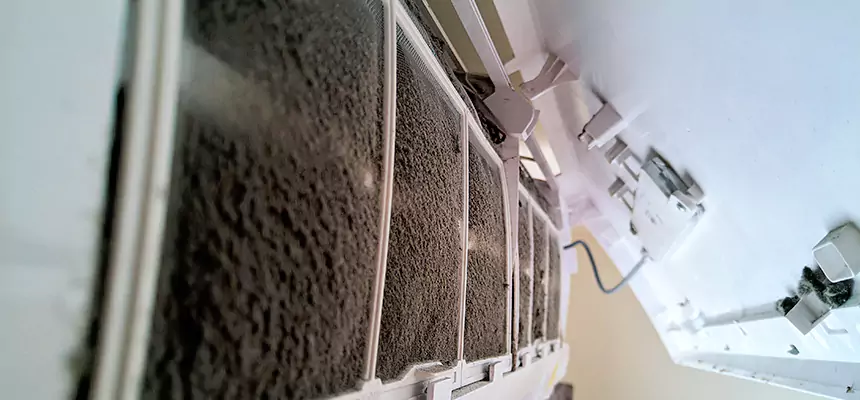 Preventive Air Duct Bacteria Removal in Pearland