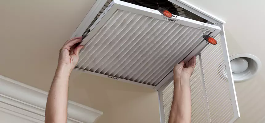 Preventive Cockroach-Proofing for Ducts in Pearland