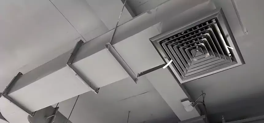 Restorative Allergy Relief Vent Cleaning – Coil, Blower & Housing Detail in Pearland