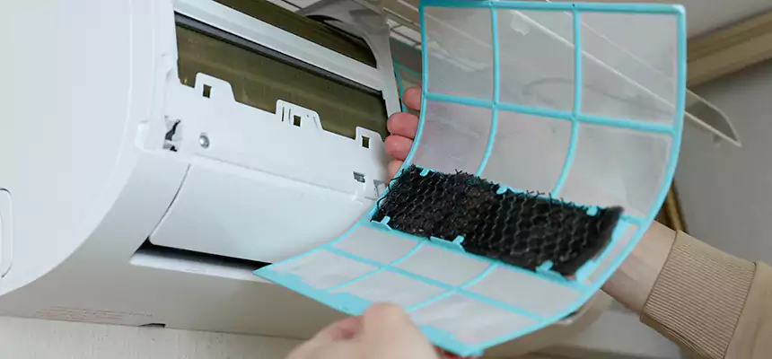 Gentle Ductwork Odor-Control Pet Dander Duct Cleaning in Pearland, TX