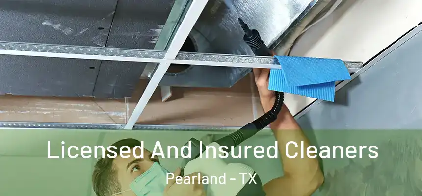 Licensed And Insured Cleaners Pearland - TX