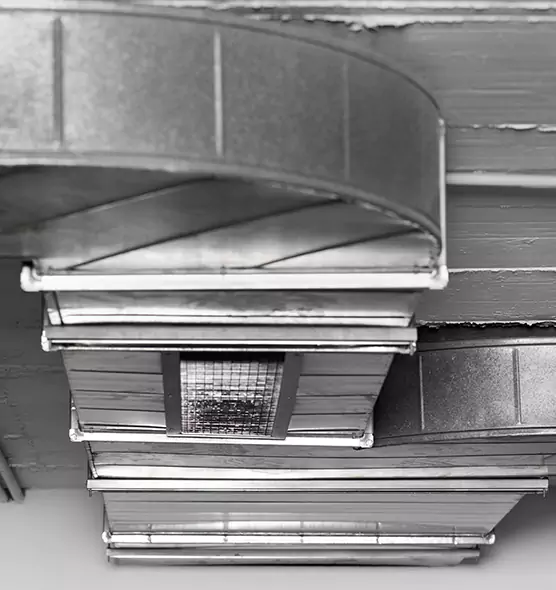 Professional Air Duct Pest Removal in Pearland, TX