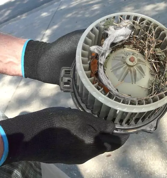 About Air Duct Rat Removal in Pearland, TX