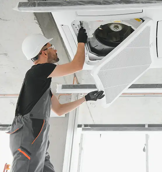 About Air Duct Rodent Removal in Pearland, TX