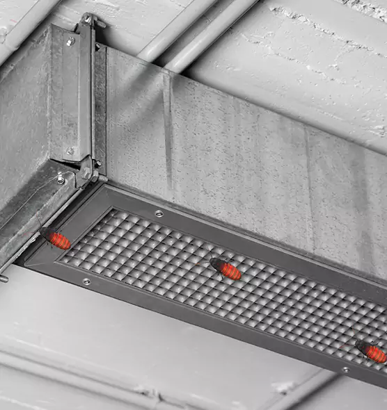 Affordable Insect Removal from Air Ducts in Pearland, TX