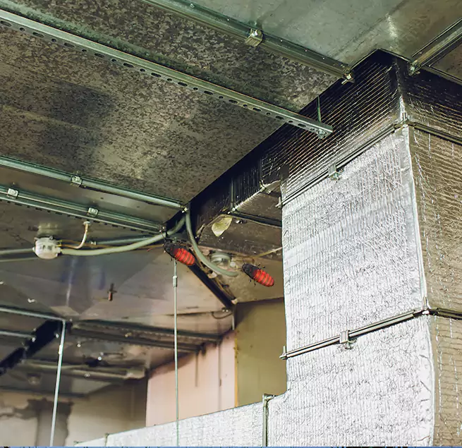 Why Homeowners & Businesses Trust Us in Pearland, TX?