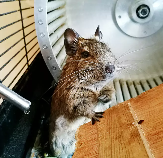 Why Homeowners & Businesses Trust Us Pearland, TX