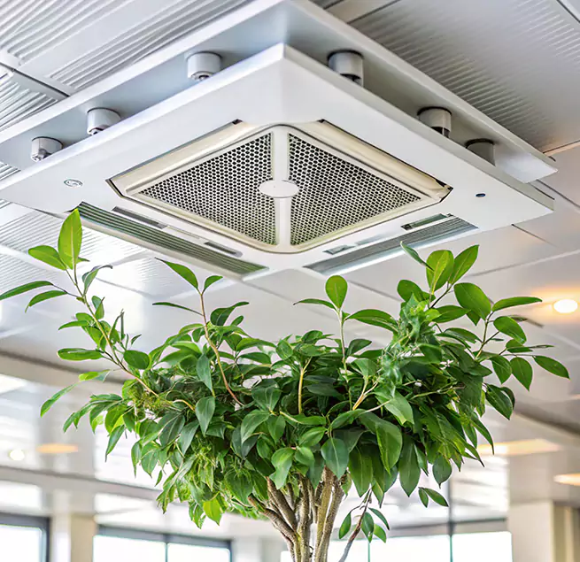 Why Homeowners & Businesses Trust Us in Pearland, TX?