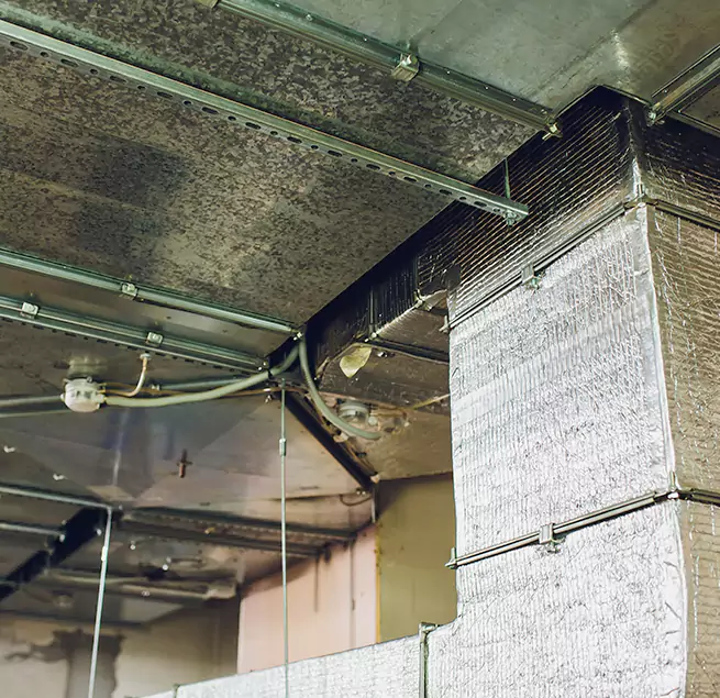 Why Homeowners & Businesses Trust Us in Pearland, TX?