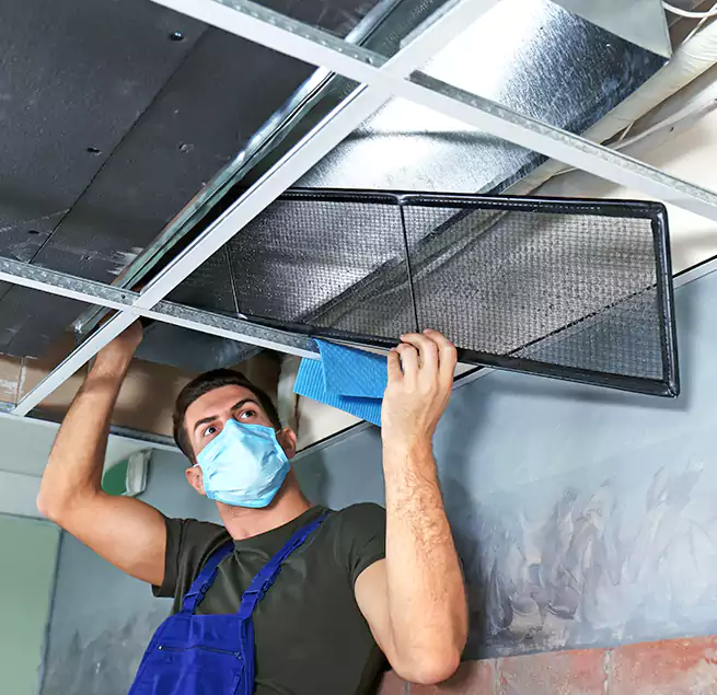 Why Homeowners Businesses Trust Us in Pearland, TX